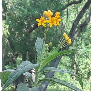 Meet your Posher, cdah4aloha